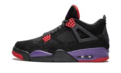 Jordan 4 Retro Raptors