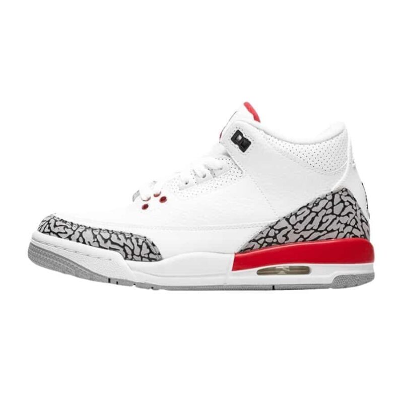 Jordan 3 Retro Hall of Fame