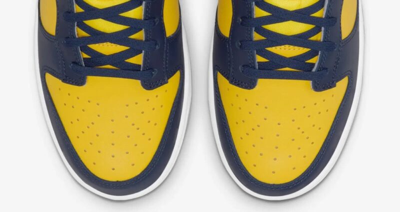 Nike Dunk Low Michigan (2021)