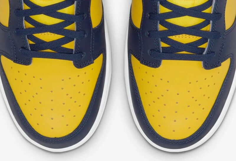 Nike Dunk Low Michigan (2021)